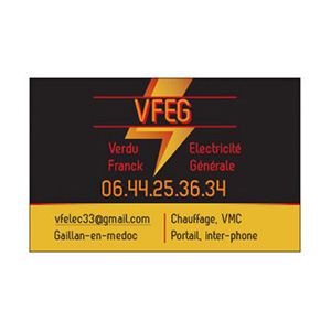 Logo VFEG